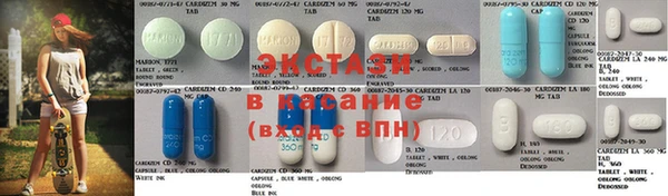 стаф Инта