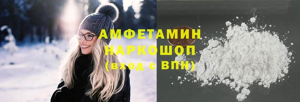 стаф Инта
