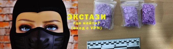 стаф Инта