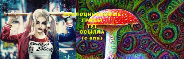 гидра Киров