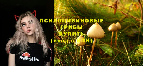 стаф Инта