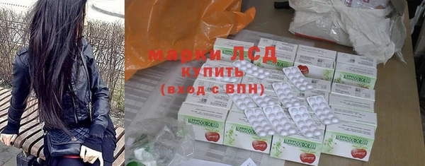 стаф Инта