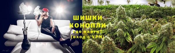 стаф Инта