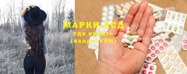 стаф Инта