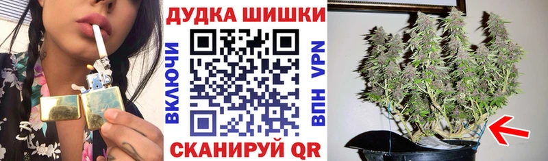 Канабис сатива  купить   Мурино 